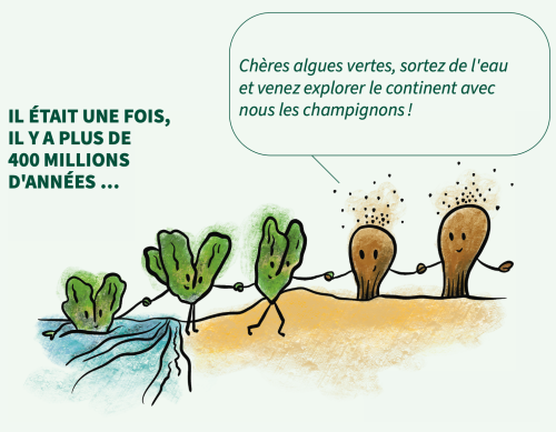 Il était une fois...